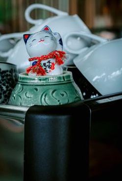 momo Nohu